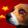 Stop The Yulin Dog Meat Festival