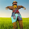 Scarecrow